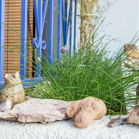 Aroma Di Casa Budens